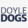 doyle-dogs-thumb